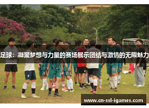 足球：凝聚梦想与力量的赛场展示团结与激情的无限魅力