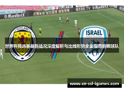 世界杯预选赛最新战况深度解析与出线形势全面指南前瞻球队