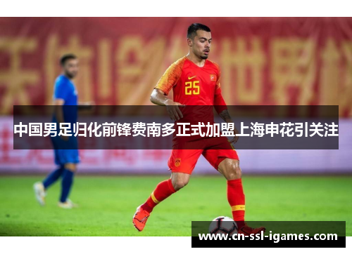 中国男足归化前锋费南多正式加盟上海申花引关注