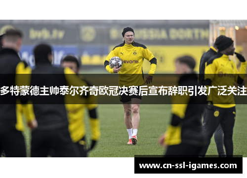 多特蒙德主帅泰尔齐奇欧冠决赛后宣布辞职引发广泛关注 多特蒙德主帅泰尔齐奇欧冠决赛后宣布辞职引发广泛关注